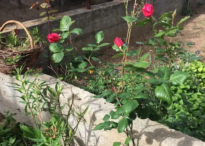 Апартаменты Kaleta *