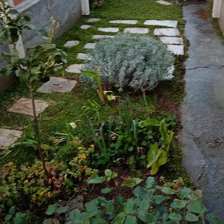 Apartamento Kaleta